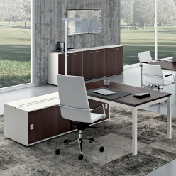 Q4 Executive Desk