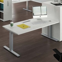 Move Pro Sit Stand