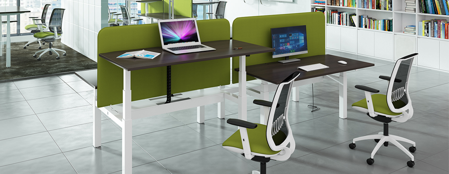 Sit Stand Electric Desking
