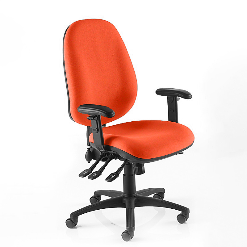 Eco Posture Task Chair - Adjustable Ergonomic Office Seating